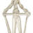Kelsch Hanging Planter