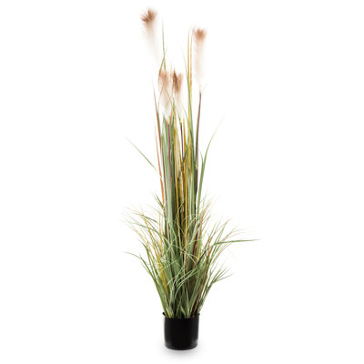 Faux Evergreen Grass in Pot