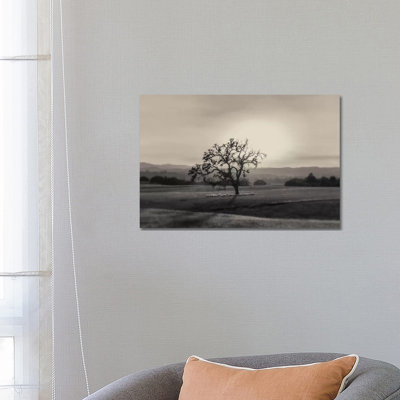 Solo 1 Piece Wrapped Canvas Wall Art
