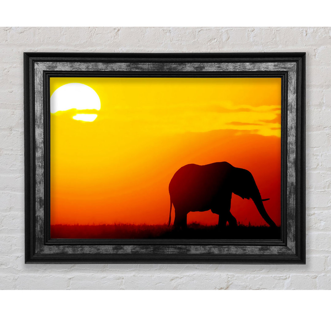 Goldener Elefant - Druck