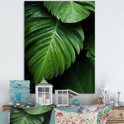 Palm Leaves Serenity  Palm Trees Wall Art Palm Canvas Print