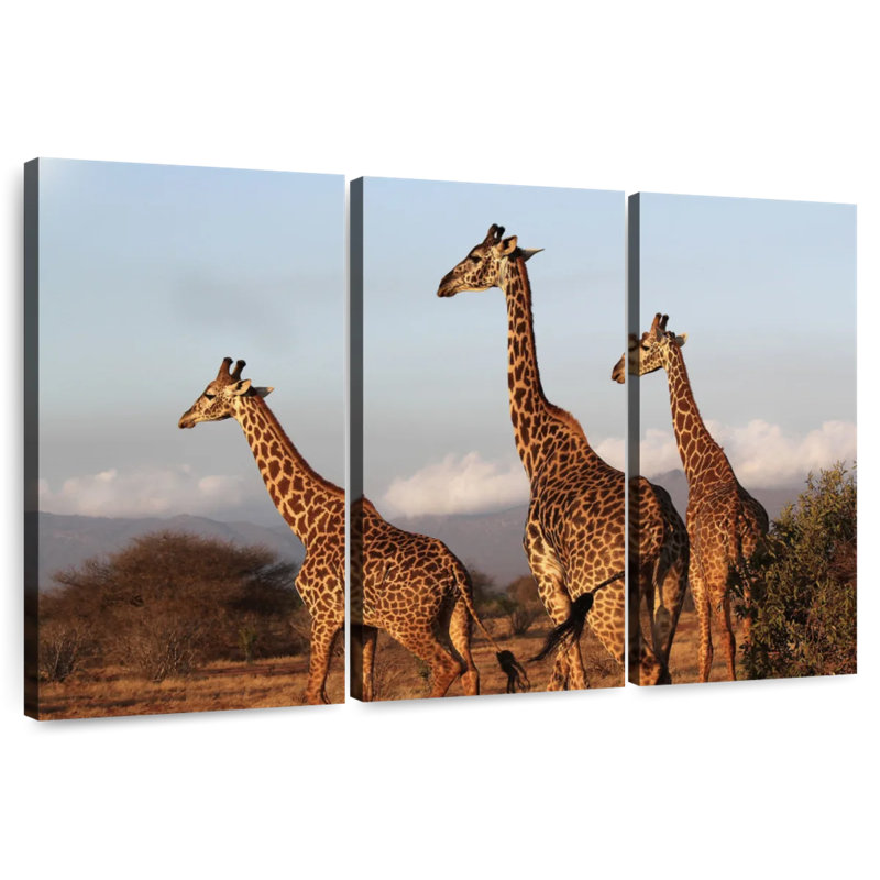 Brampt Three Brown Giraffes, 20" H x 33" W