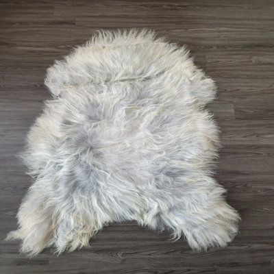 Indoor Rug