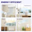 17 Stories 95cm Oscillating Pedestal / Standing Fan Fan with Remote Included-1973607207