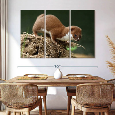 Food Hunting Weasel