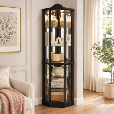 Elegant Carved Wood-Trim Corner Cabinet with Lighting, Black