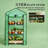 Small Greenhouse,Convenient Mini Greenhouse-123831034