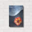 «Beach Floral» par Dennis Frates-354390725