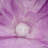 Giant Artificial Flowers With Stems And Base-578132143