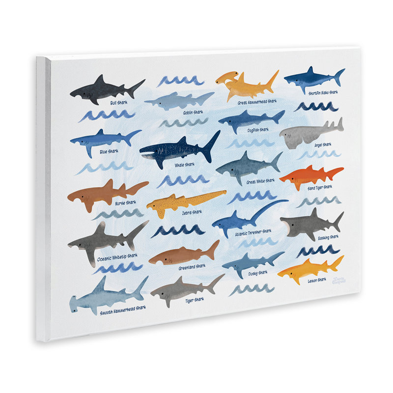 Art varié, "Shark Breeds", par Carrie Cantwell, H 10 po x l 15 po