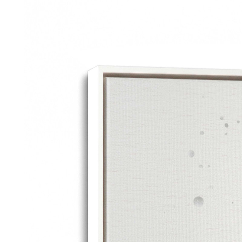 Ensemble de 4 botaniques noirs et blancs, Cadre flottant blanc opaque, H 13 po x l 36 po