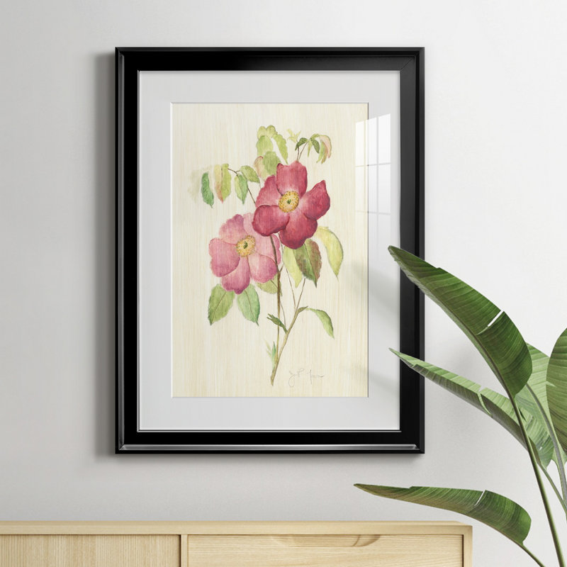 Dusty Rose II - peinture encadrée, Noir, H 22,5 po x l 30,5 po x P 1,5 po