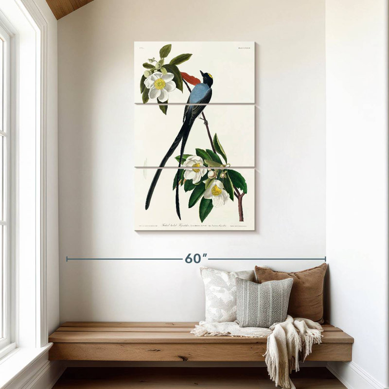 Brampt Fork-Tailed Flycatcher, 45" H x 28" W