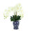 Orchid Arrangement In A Ceramic Vase With Leaves