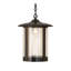 Luminaire suspendu lanterne artisanal 1 lumière Atanaska