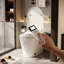 Toilette intelligente D5 avec stérilisation aux UV, prélavage, siège chauffant et télécommande - sans réservoir, 110 V