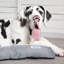 Polyester Pet Bed-82180648