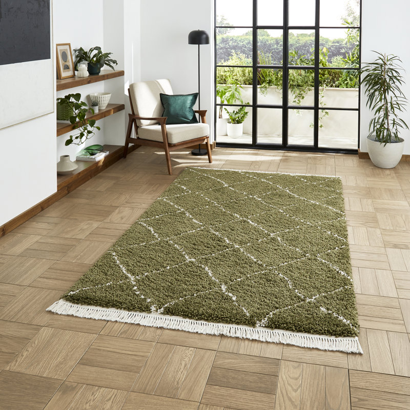 Pechler area rug Machine Woven Green, Rectangle 120 x 170cm