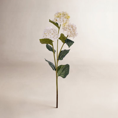 Ranbir Hydrangea Stem