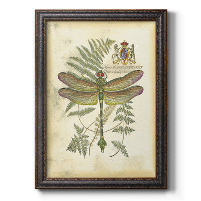 " Regal Dragonfly III (PP) " Painting Print