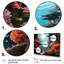 Coral Reefs Of Cozumel II - Coastal Coral Under Water, art mural 4 pièces-703921931