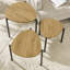Tavy Three Leg Wedge Nesting Side Tables-1750311495