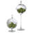 Having a Ball Covered Bowl-6635037