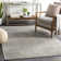 Blaine Hand Knotted Oriental Indoor Rug