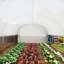 Outsunny 6 x 3 x 2m Walk-in Polytunnel Greenhouse 8 Mesh Windows White