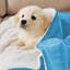 Couverture en molleton doux Microplush-631108281-657181714