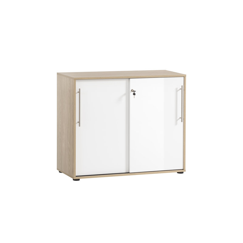 Kadyn 2 -Door Storage Cabinet