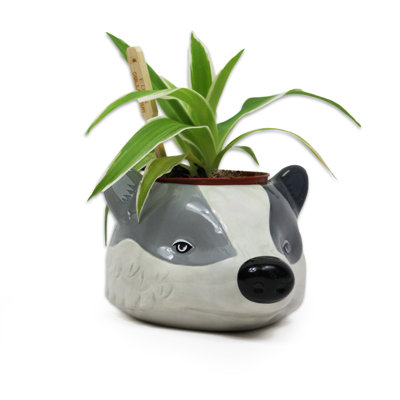 Ceramic Plant Pot