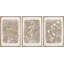 «Minimal Botanical», beige neutre, art floral botanique rustique, photos de salon rétro à fleurs sauvages simples, impression sur toile encadrée, 3 pièces, art mural: 16 po x 24 po x 3 pièces, 24 po x 36 po x 3 pièces-91874990-91874992