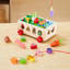 Shape Sorter Toys Set