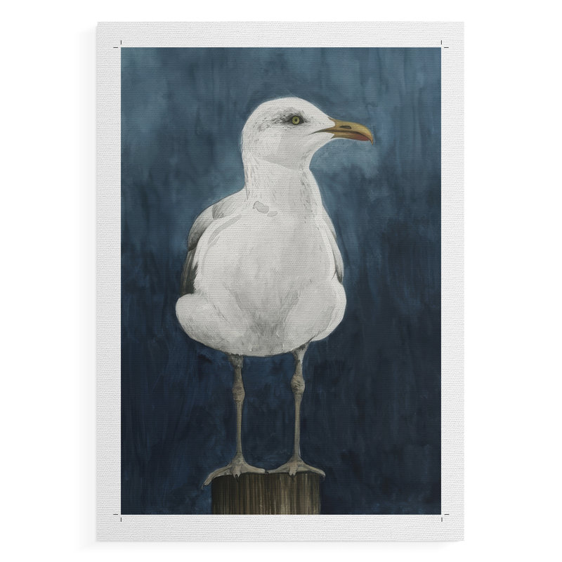 Night Gull I - Impression sur toile seulement - NON-CADRE, H 48 po x l 32 po
