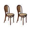 Ensemble de 2 chaises d'appoint à dossier beige et brun noisette