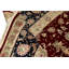 Elegance Oriental Area Rug