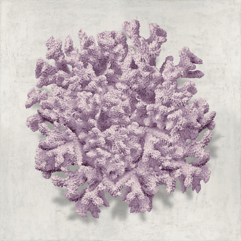 Coral Amethyst II by Caroline Kelly - Wrapped Canvas Print, 91cm H x 91cm W