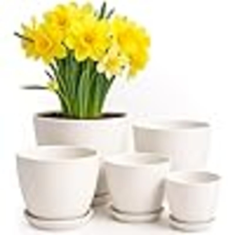 Plant Pots Indoor With Drainage - 7/6.6/6/5.3/4.8 Inches Flower Pots For Indoor Planter - 5 Pack Plastic Planters - Ideal For Stocking Stuffers Or Home Christmas Decorations