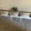 Customer photo 2 of 2