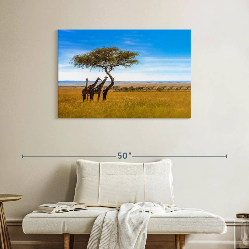 Brampt, savane, girafes d'Afrique, H 26 po x l 39 po