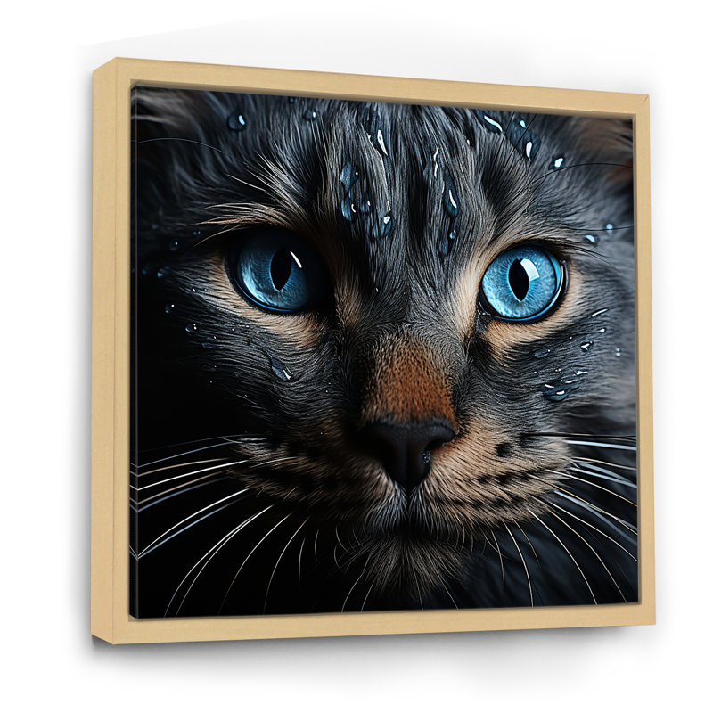 Chat, yeux bleus, chat, H 16 po x l 16 po x P 1 po, Cadre naturel flottant