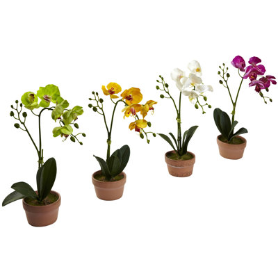 Arrangement floral d'orchidées phalaenopsis en pot d'argile