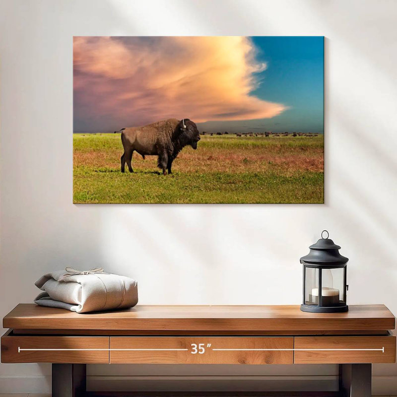 Brampt Badlands Bison, 16" H x 24" W