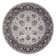 Oriental Indoor Rug
