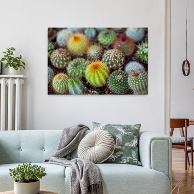 Gros plan sur des cactus multicolores, art contemporain de cactus contemporain