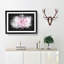 Striking White & Pink Carnation - Picture Frame Graphic Art Print-56863769-56863764