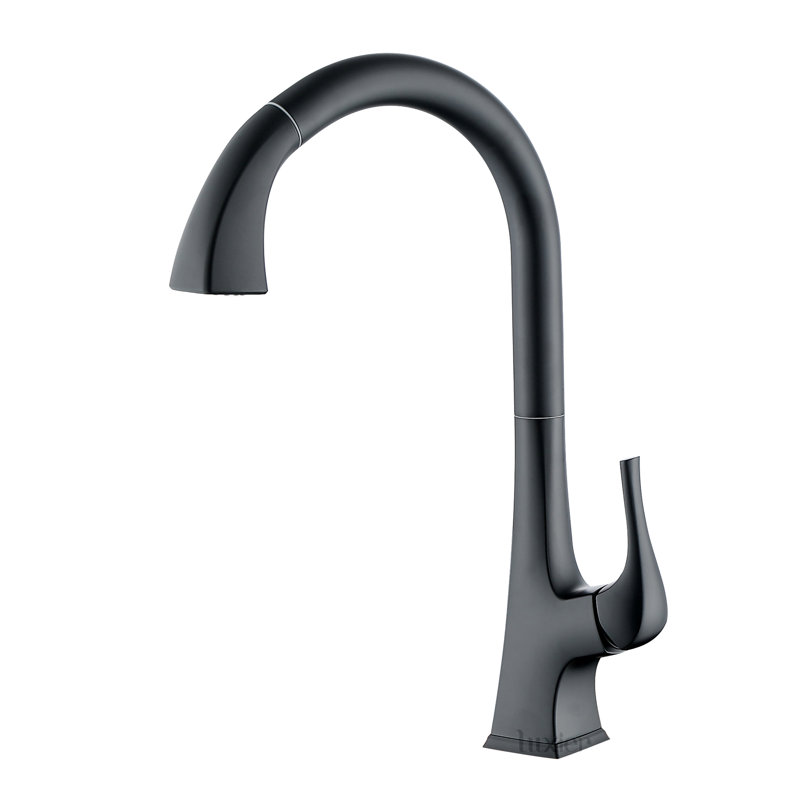 Robinet de cuisine à poignée simple Contemporary, Noir mat