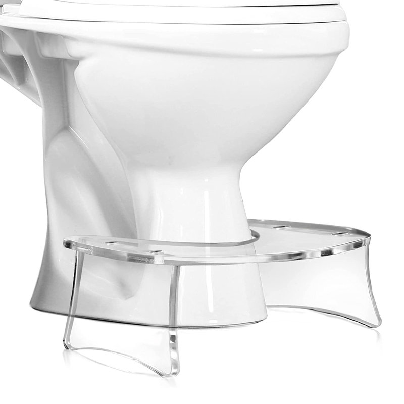 Raised Toilet Seat