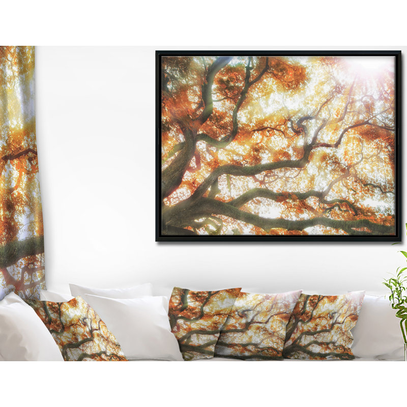 « big tree », reproduction de photo sur toile tendue encadrée, H 16 po x l 32 po x P 1 po